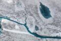 Scoperte piante fossili sotto la calotta della Groenlandia: il ghiaccio si è sciolto in passato?