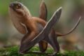 Cina: scoperto piccolo pterosauro volante