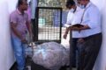 Sri Lanka: scoperto il più grande zaffiro stellato di sempre. Pesa mezza tonnellata
