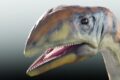 Scoperto il primo dinosauro in Groenlandia: ”Osso Freddo”