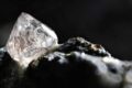 Un contadino indiano si arricchisce dopo aver dissotterrato un diamante da 13 carati