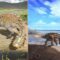 Cile: trovati i resti di una nuova specie di dinosauro con una bizzarra coda