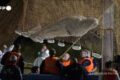 Francia: recuperato il beluga intrappolato nella Senna