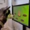 Regno Unito: si chiama JoiPaw, la nuova console di videogiochi per cani che li aiuta a combattere la demenza [VIDEO]