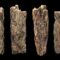 Trovato frammento osseo di una bambina di 50.000 anni fa, metà Neanderthal e metà denisoviana. E’ la prima volta