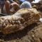 Australia: scoperto scheletro completo di un grosso rettile preistorico